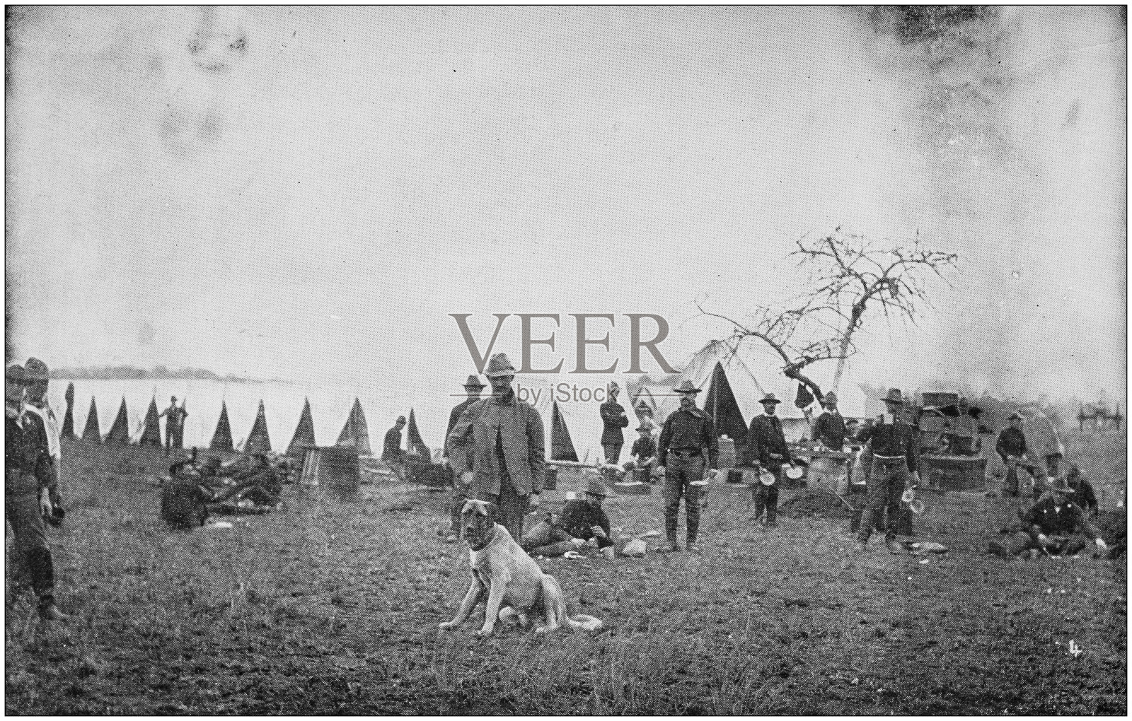 美军黑白照片:美军第五炮台吉祥物照片摄影图片