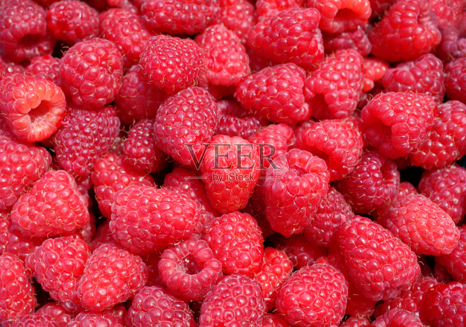 树莓全帧照片摄影图片