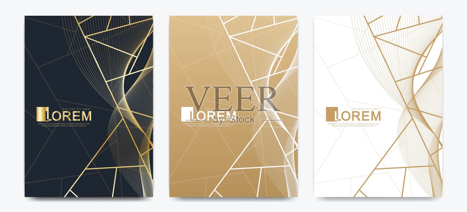 现代矢量模板婚礼邀请卡大理石纹理背景和金色几何线在A4大小插画图片素材