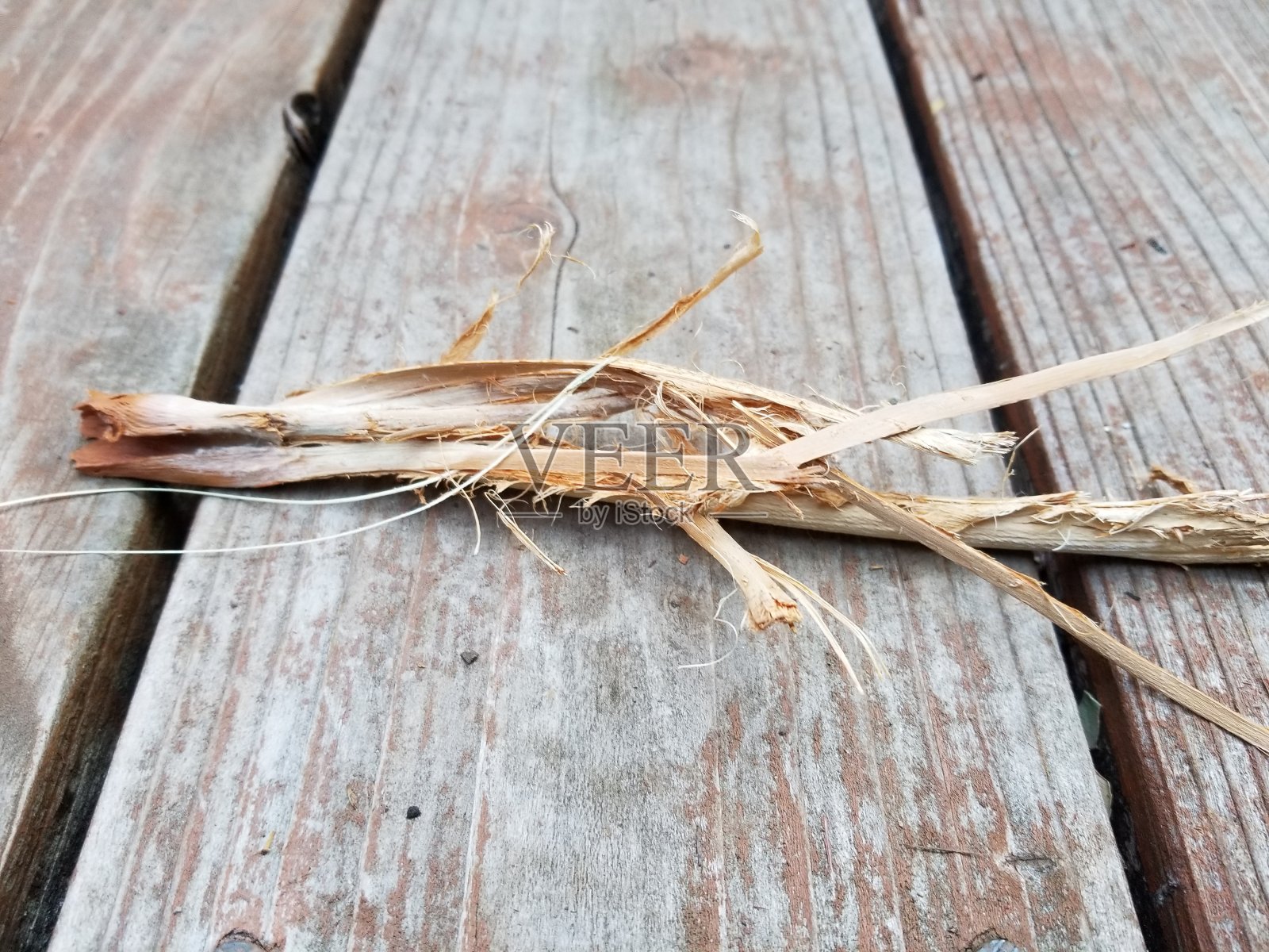 甲板上的棕榈叶照片摄影图片