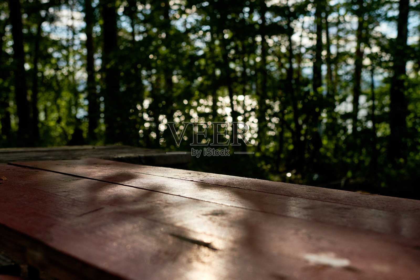 乡间树木旁的木凳照片摄影图片