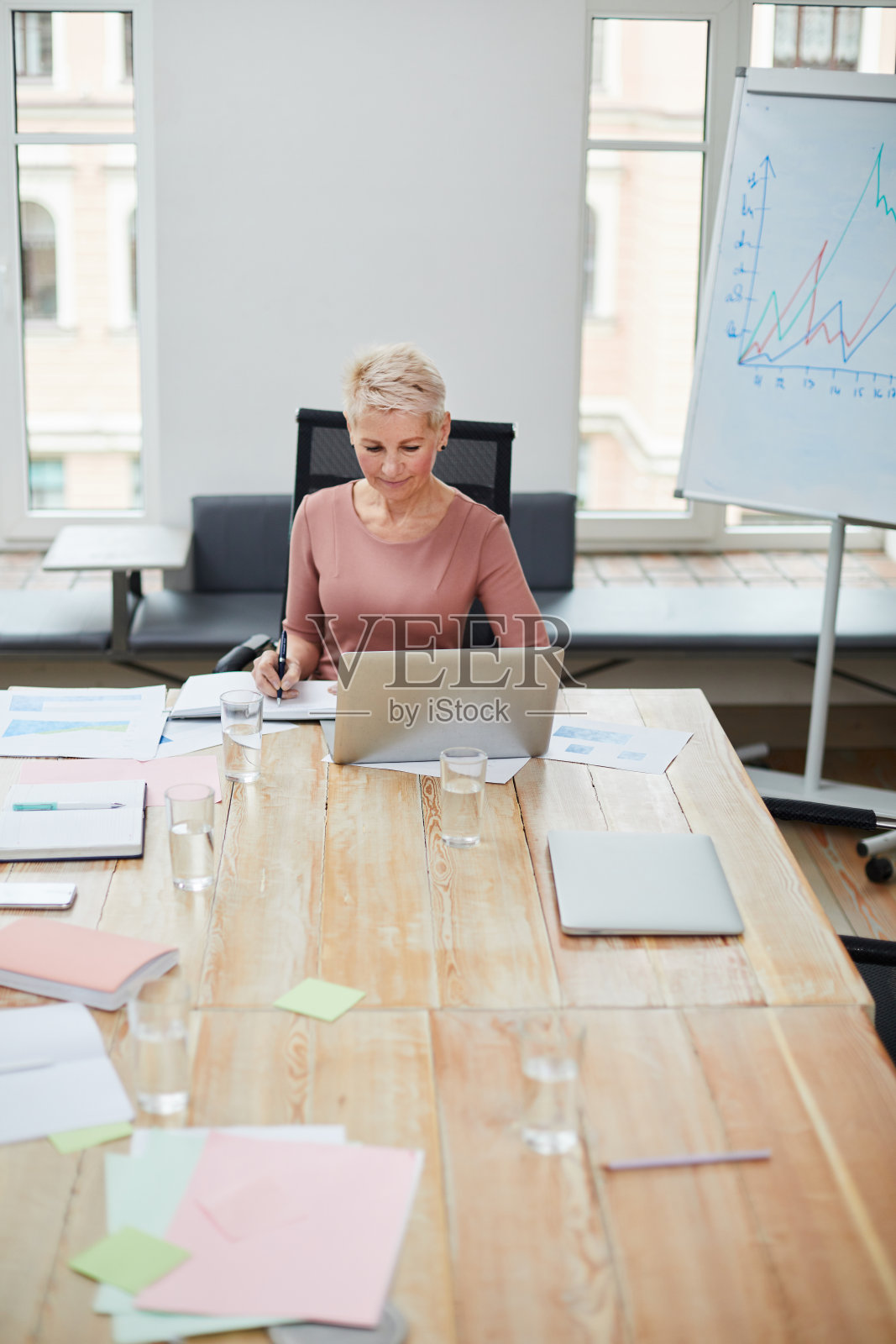 会议室的女老板照片摄影图片
