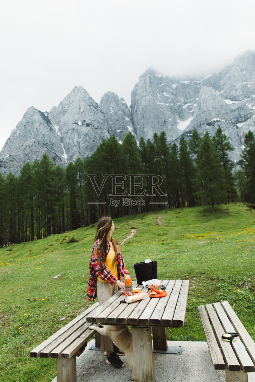 在斯洛文尼亚山景城的草地上准备野餐的女人照片摄影图片