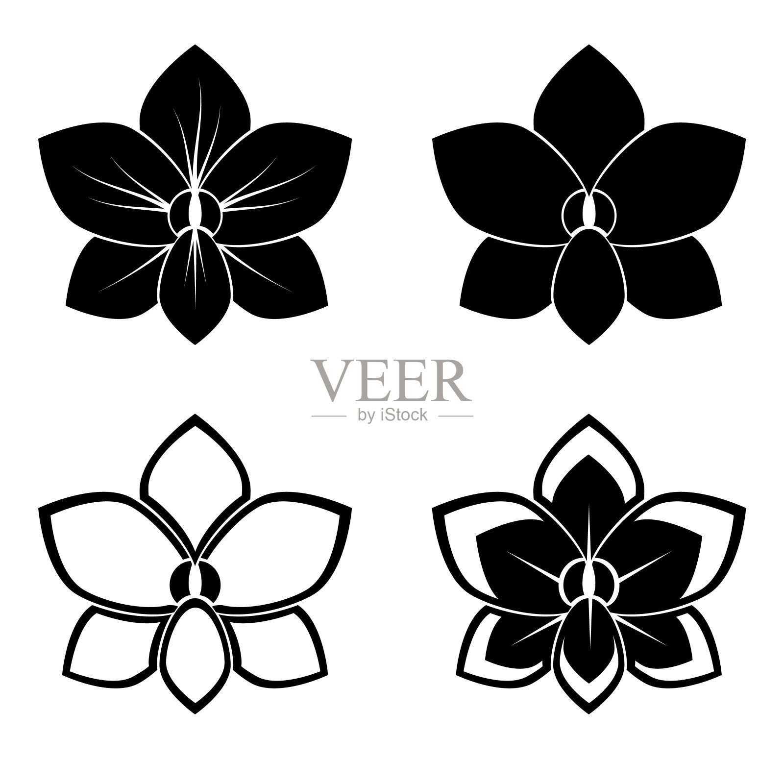 兰花轮廓插画图片素材