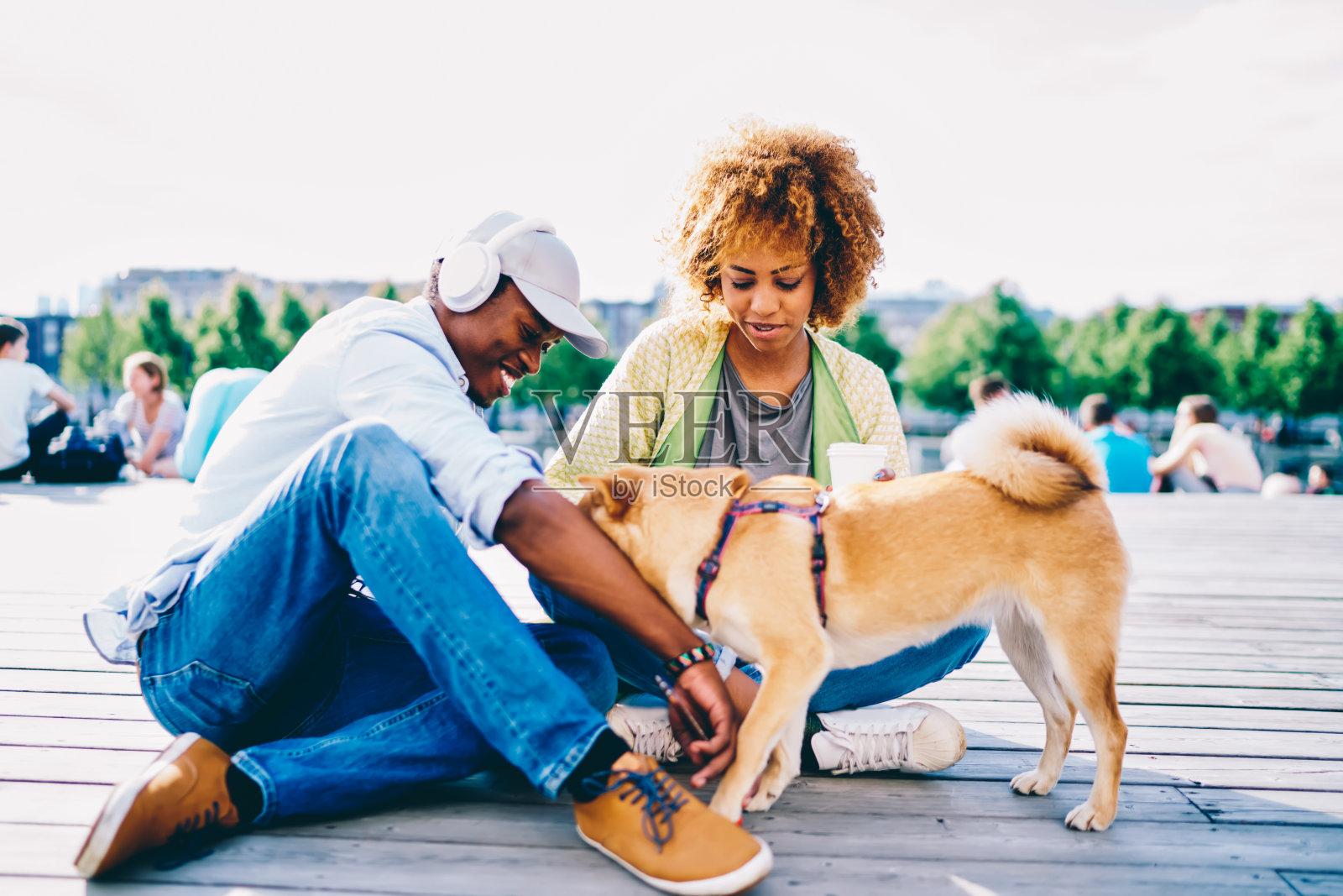 年轻的非洲裔美国夫妇在爱休息与可爱的宠物户外坐在城市广场，深色皮肤的嬉皮士女孩约会时髦的男朋友和狗享受会议在城市设置照片摄影图片