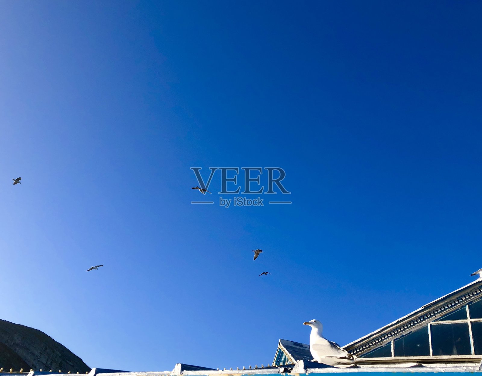 在码头上……照片摄影图片