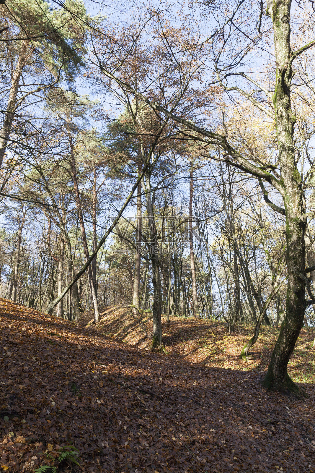 秋季为丘陵地带照片摄影图片