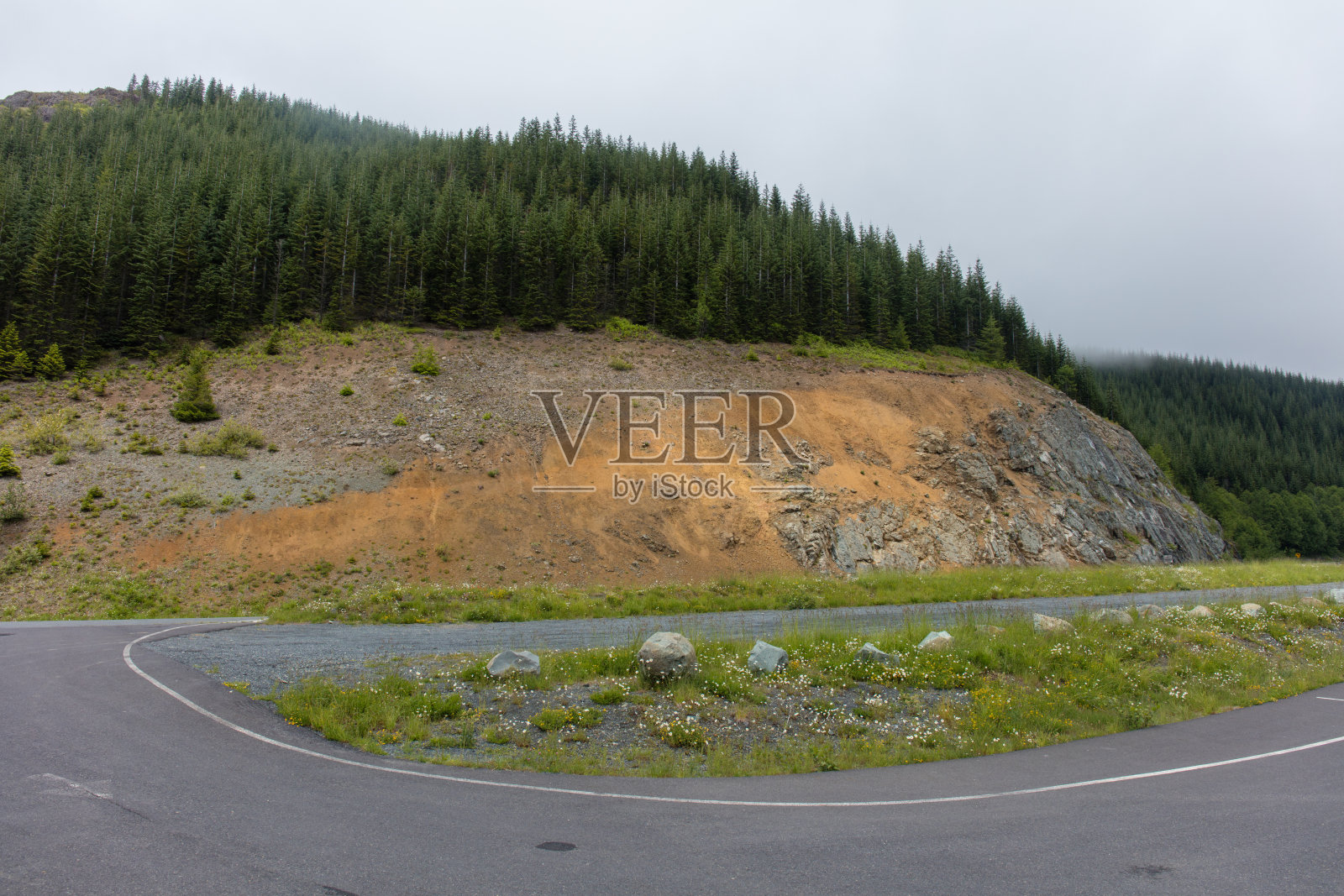 麋鹿岩的观点，圣海伦斯山照片摄影图片