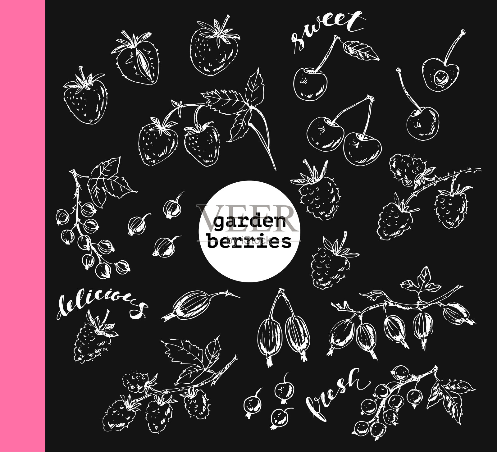 手绘花园浆果素描插画图片素材