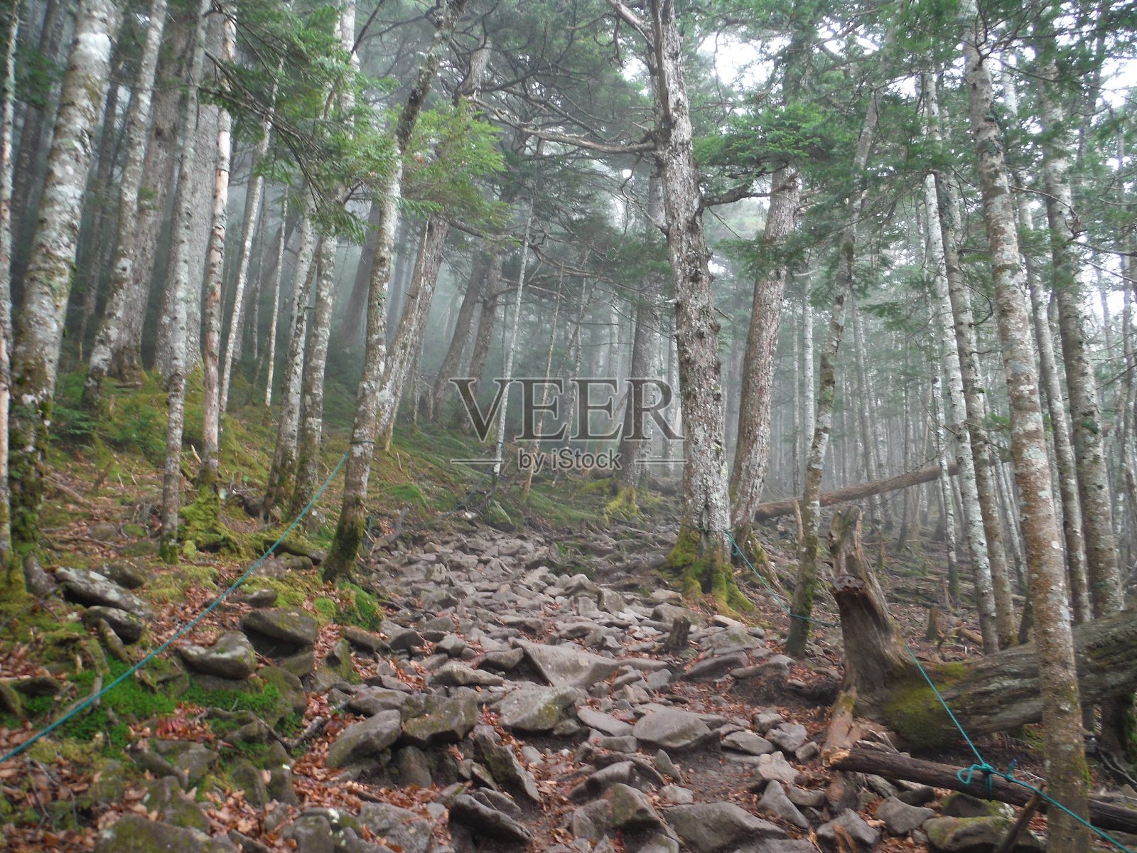 公吨。八岳的立科照片摄影图片