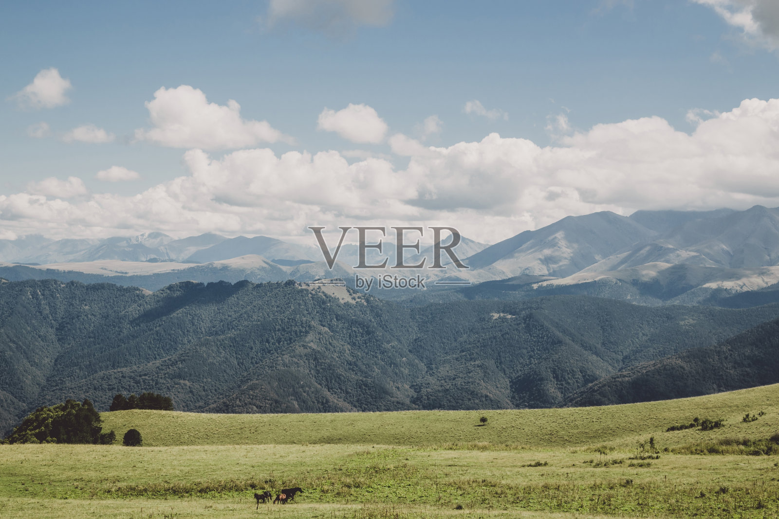 在国家公园的山和山谷景色的全景照片摄影图片