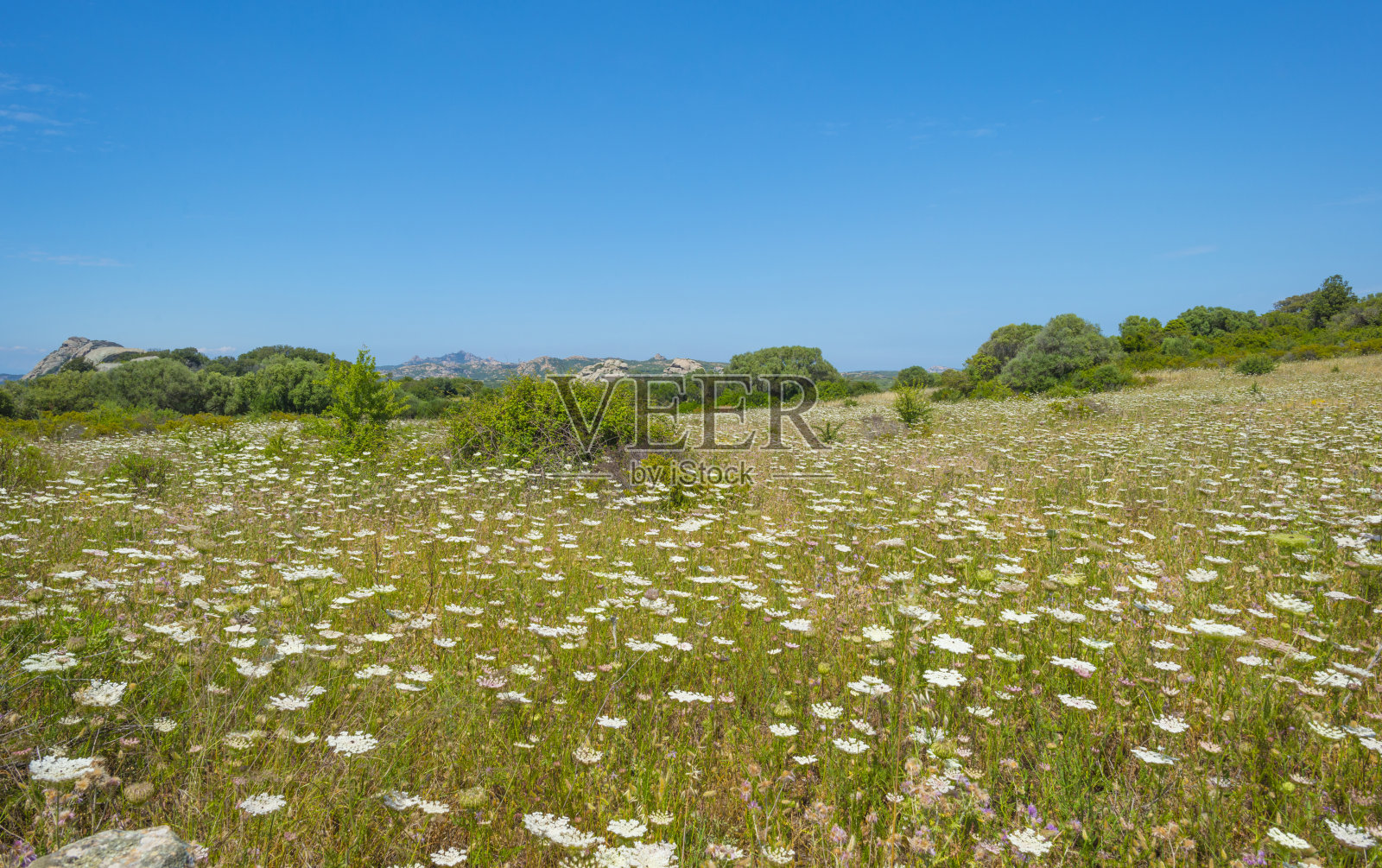 春天撒丁岛的绿色山丘和岩石山脉照片摄影图片