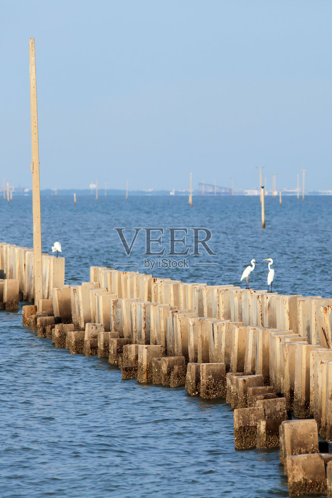 一群水鸟栖息在混凝土防波堤上，飞向大海。照片摄影图片