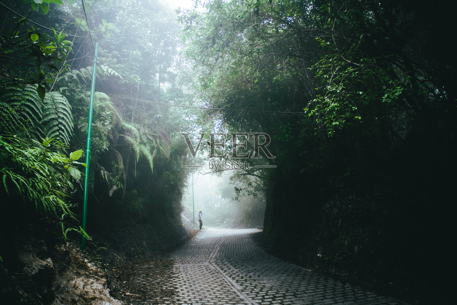 多雾的山照片摄影图片