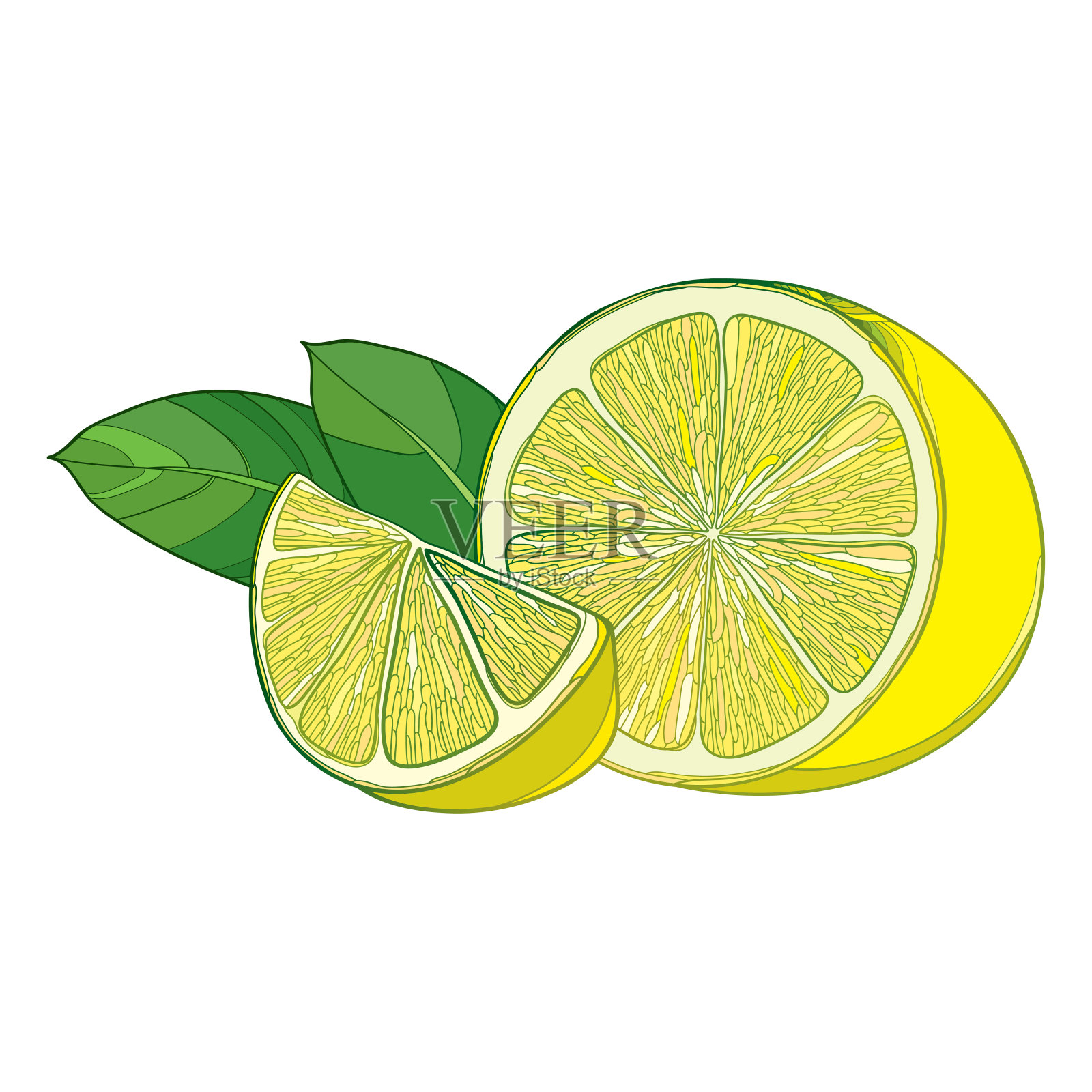 矢量轮廓黄色柠檬片和成熟的半水果与绿叶孤立在白色的背景。插画图片素材