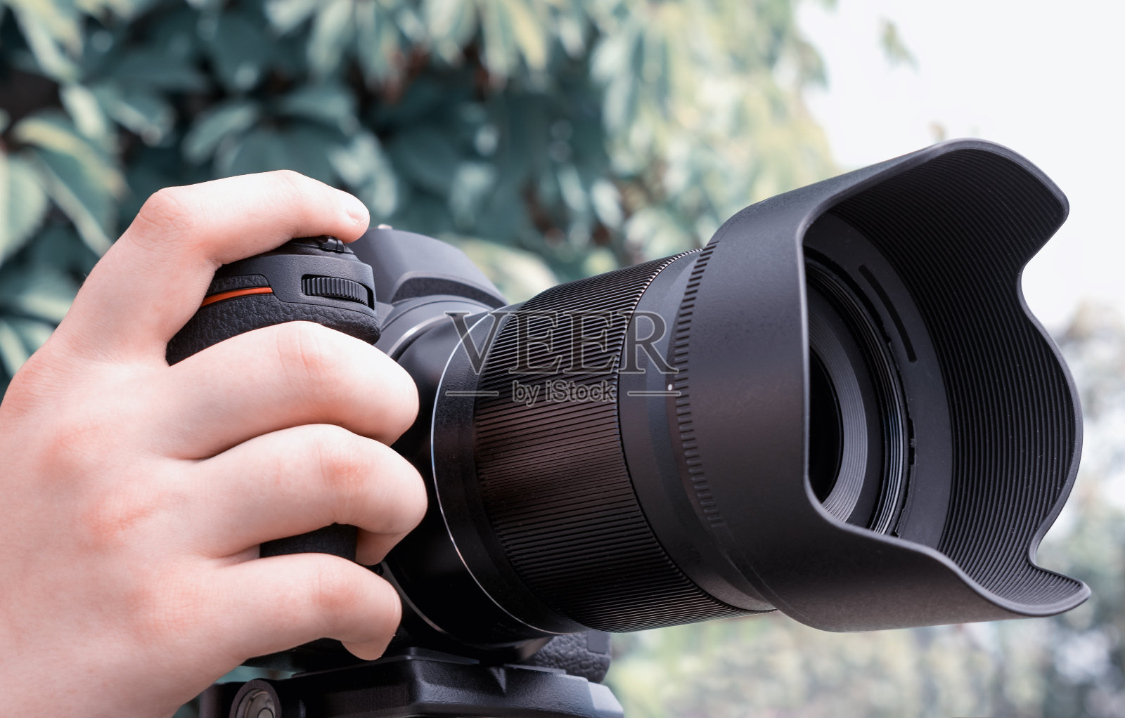 手持单反相机照片摄影图片