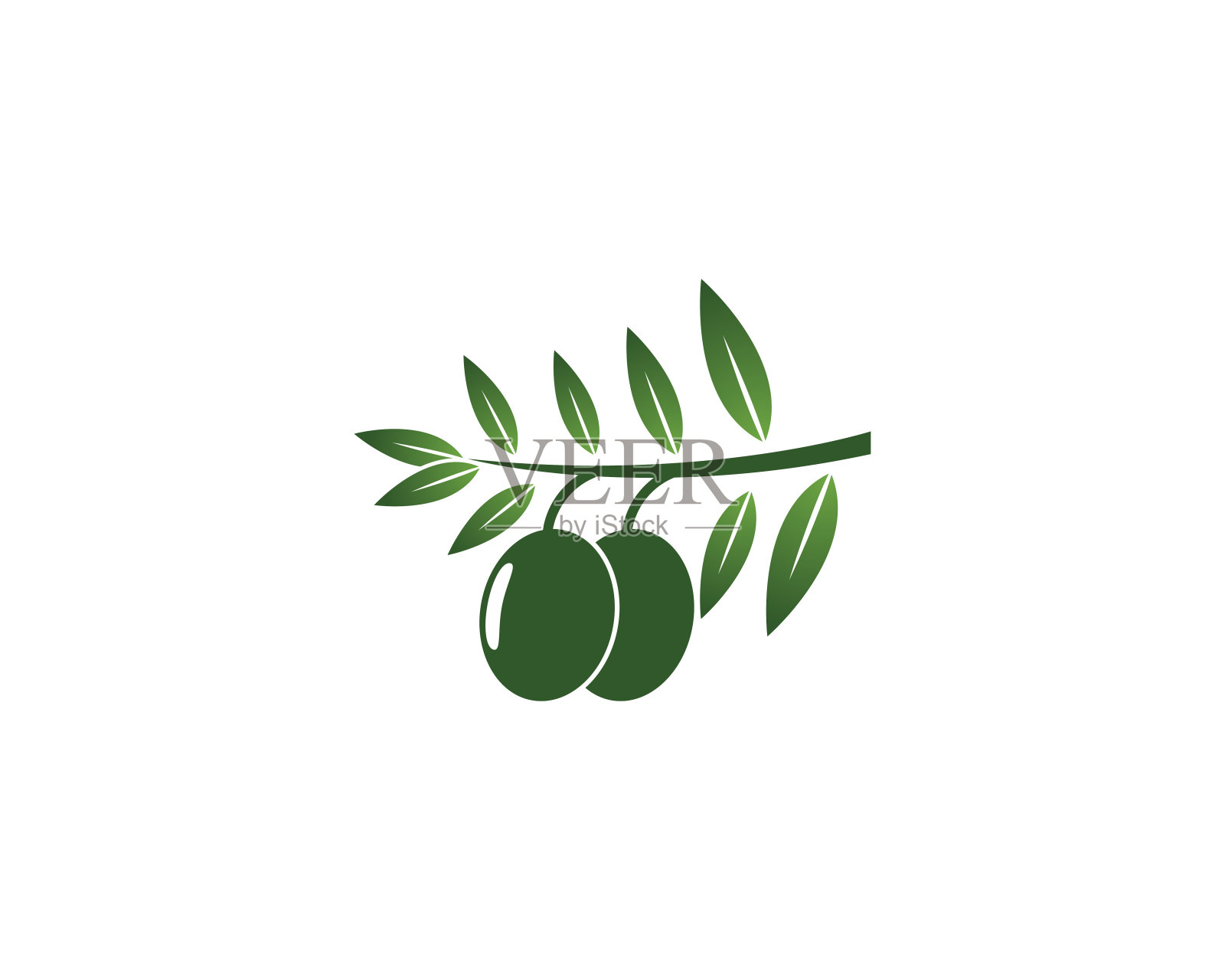 橄榄油标志矢量图标插图插画图片素材
