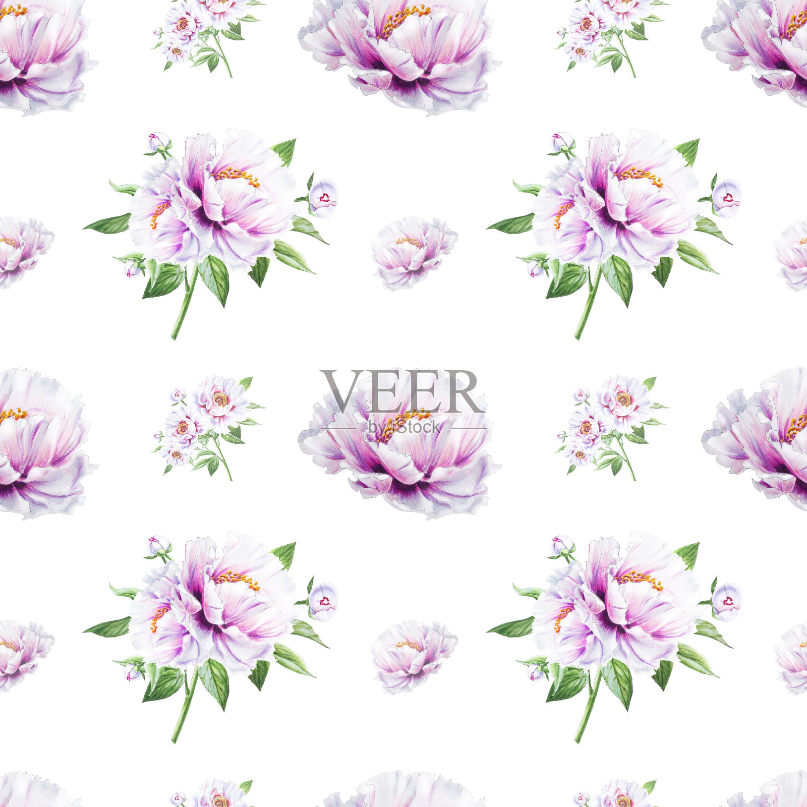 美丽的白牡丹无缝图案。束鲜花。花卉无休止的纹理。标记图。插画图片素材