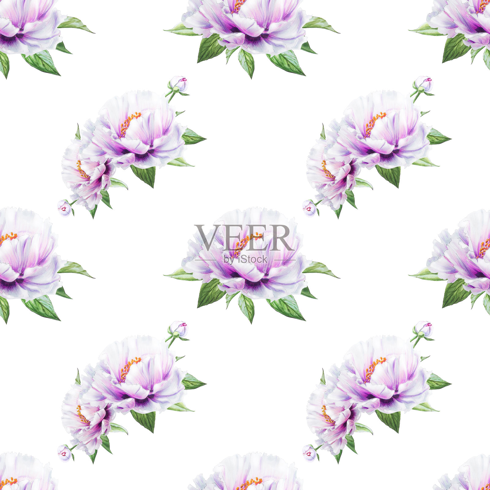 美丽的白牡丹无缝图案。束鲜花。花卉无休止的纹理。标记图。插画图片素材