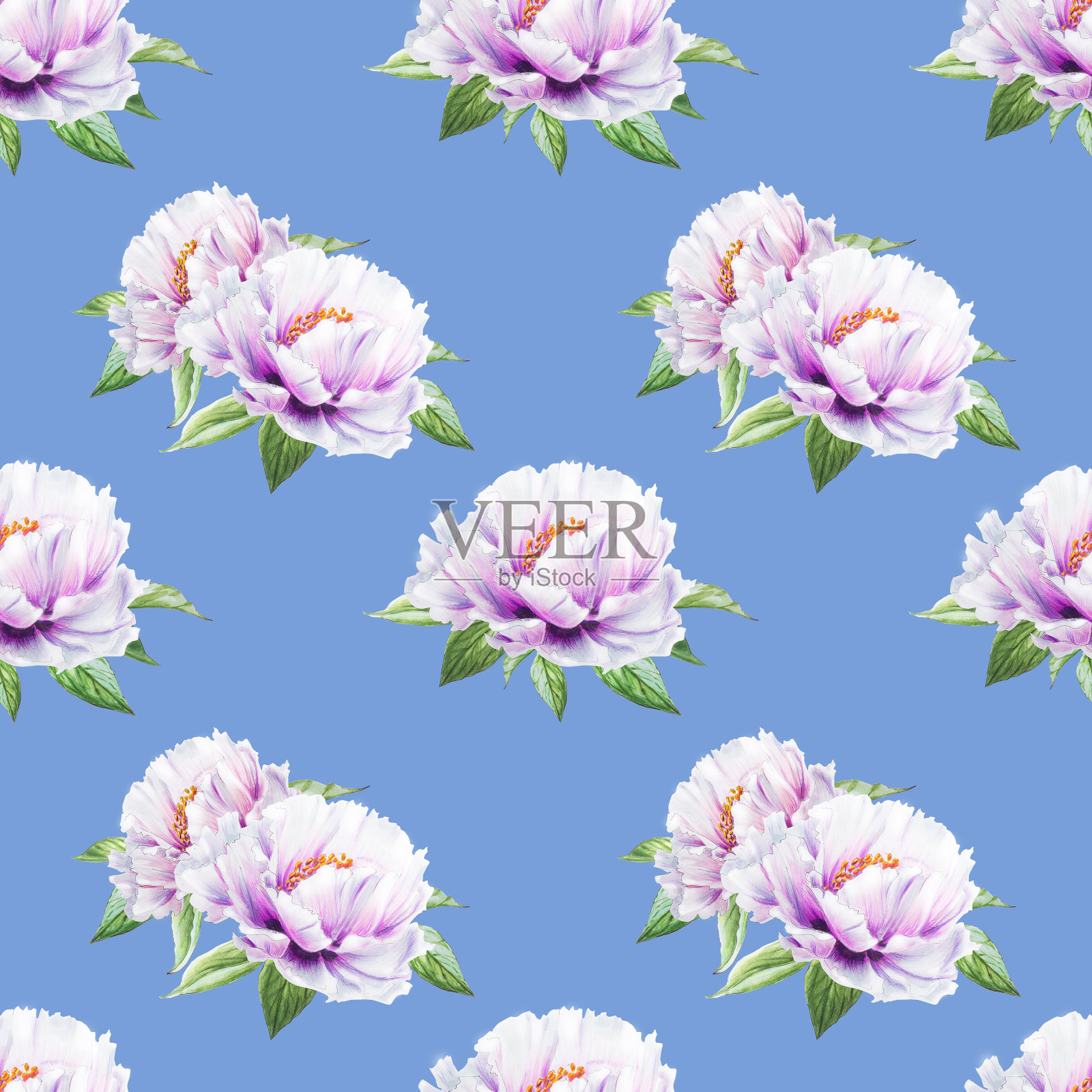 美丽的白牡丹无缝图案。束鲜花。花卉无休止的纹理。标记图。插画图片素材