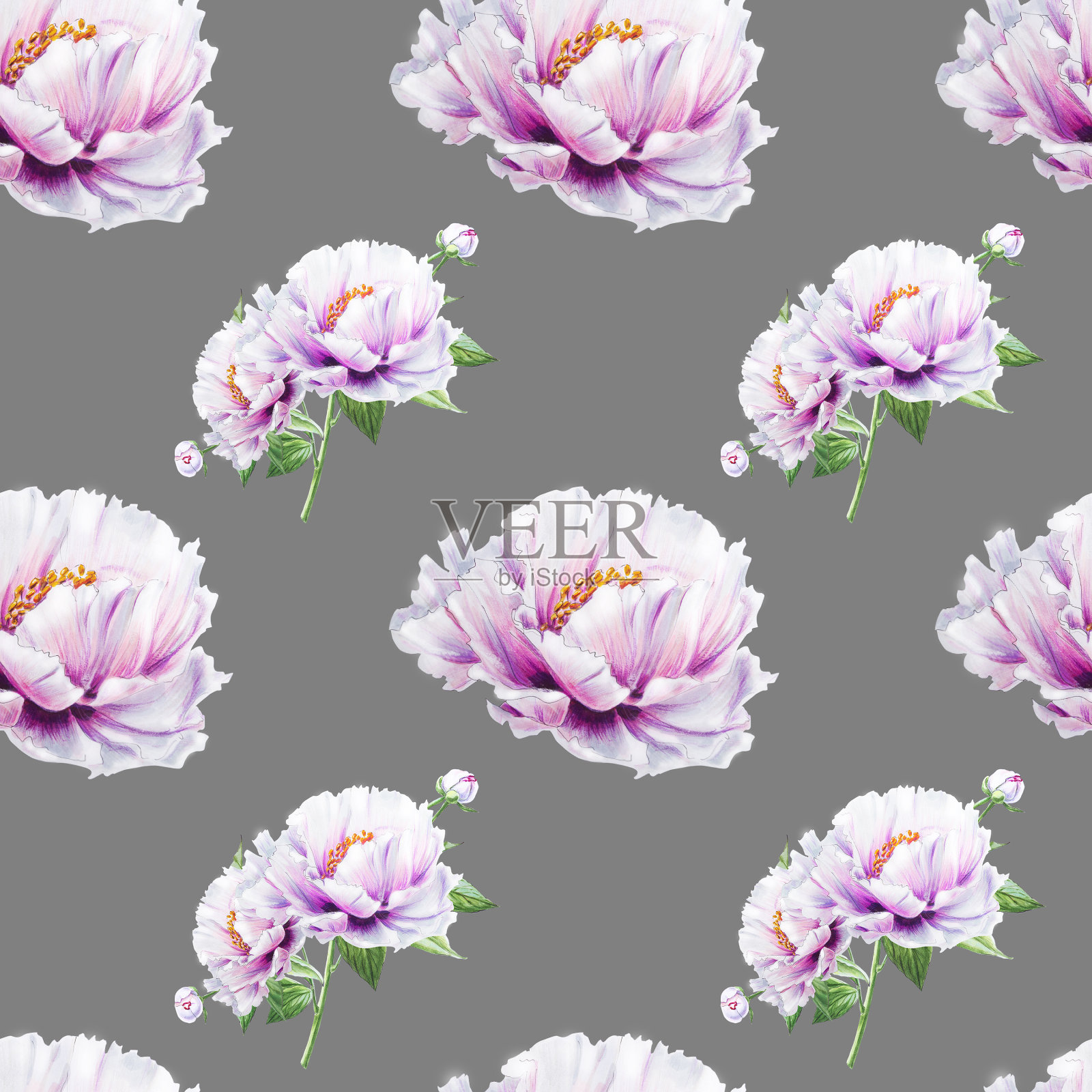 美丽的白牡丹无缝图案。束鲜花。花卉无休止的纹理。标记图。插画图片素材