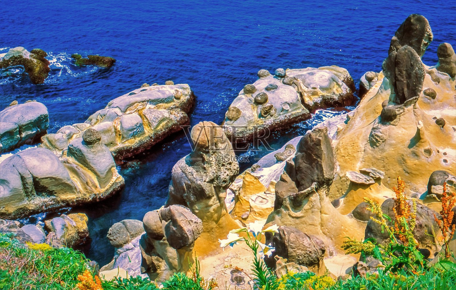 台湾海岸地质构造，和平岛公园照片摄影图片