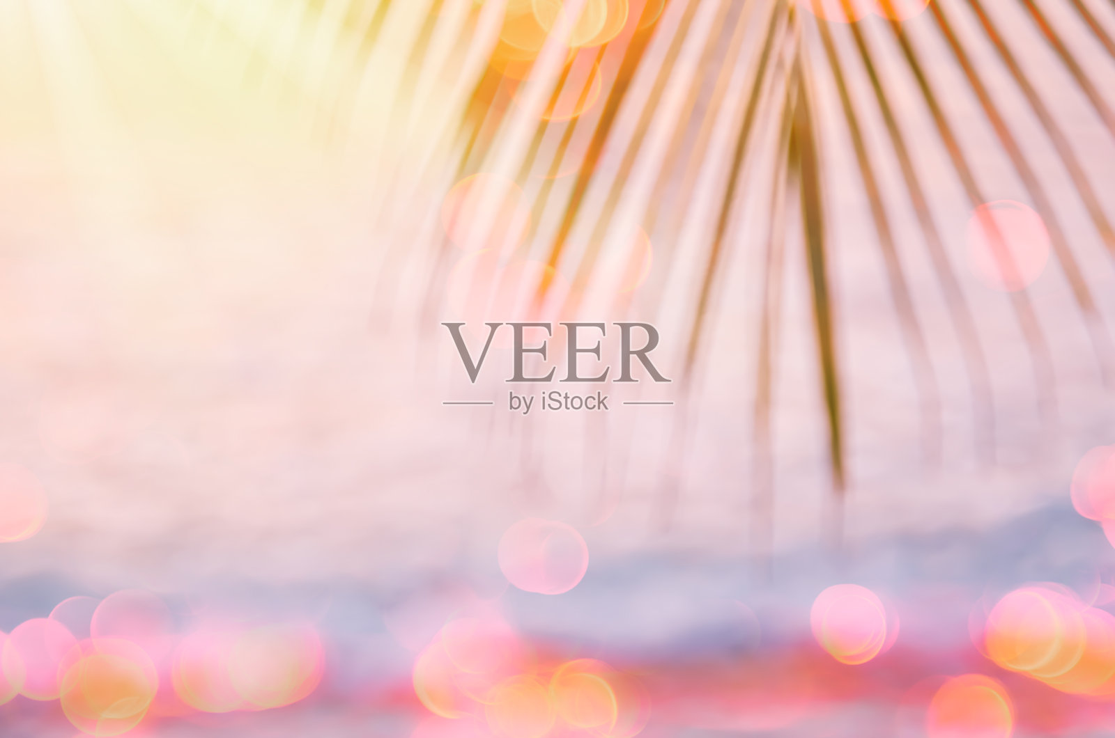 模糊美丽的自然绿色棕榈叶在热带日落海滩上与散焦光波抽象背景。复印空间的暑假和商务旅行的概念。复古色调滤色风格。照片摄影图片