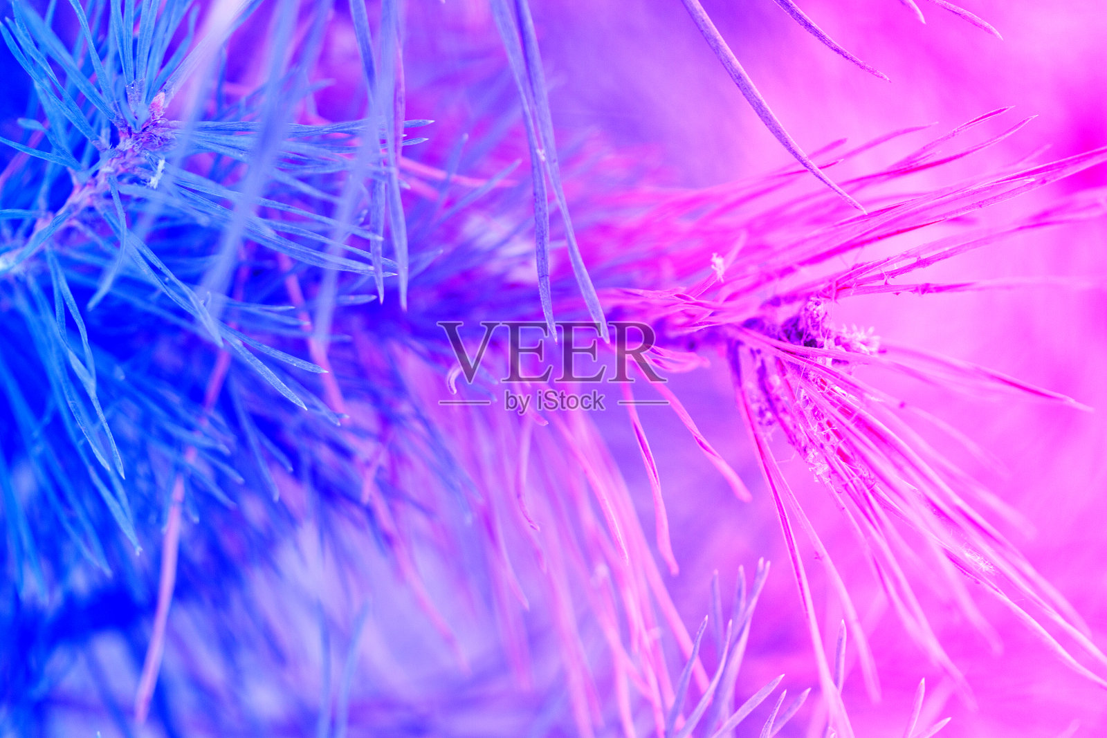 圣诞树与灯光的特写照片摄影图片