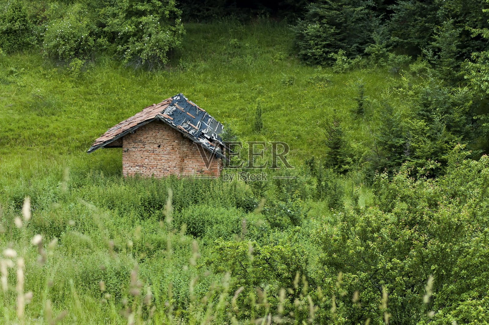 村举办照片摄影图片