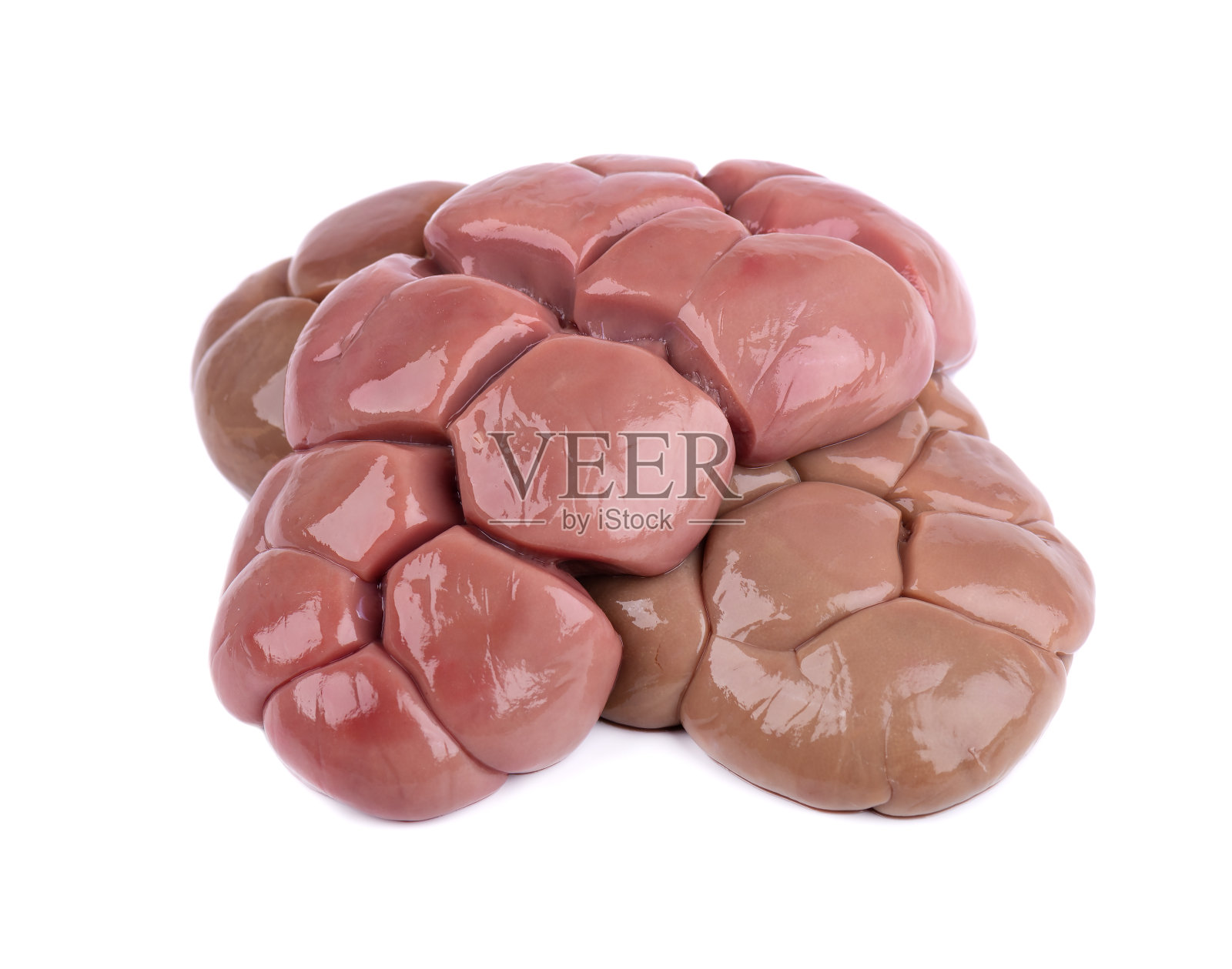 在白色背景上分离出两个生牛肾。关闭了。牛肾脏孤立。照片摄影图片