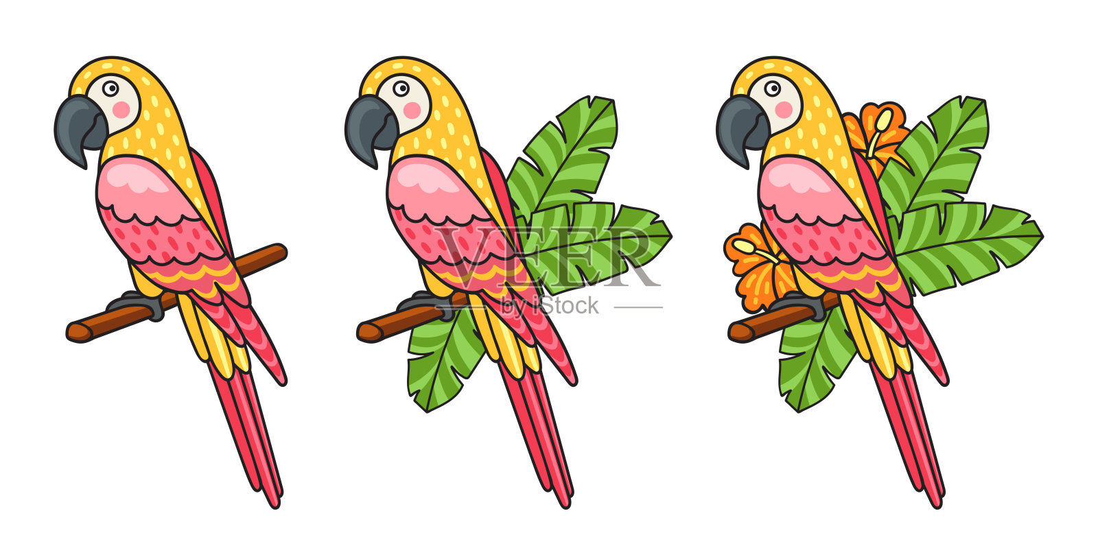金刚鹦鹉。一组美丽多彩的鹦鹉，围绕热带树叶和花朵。插画图片素材