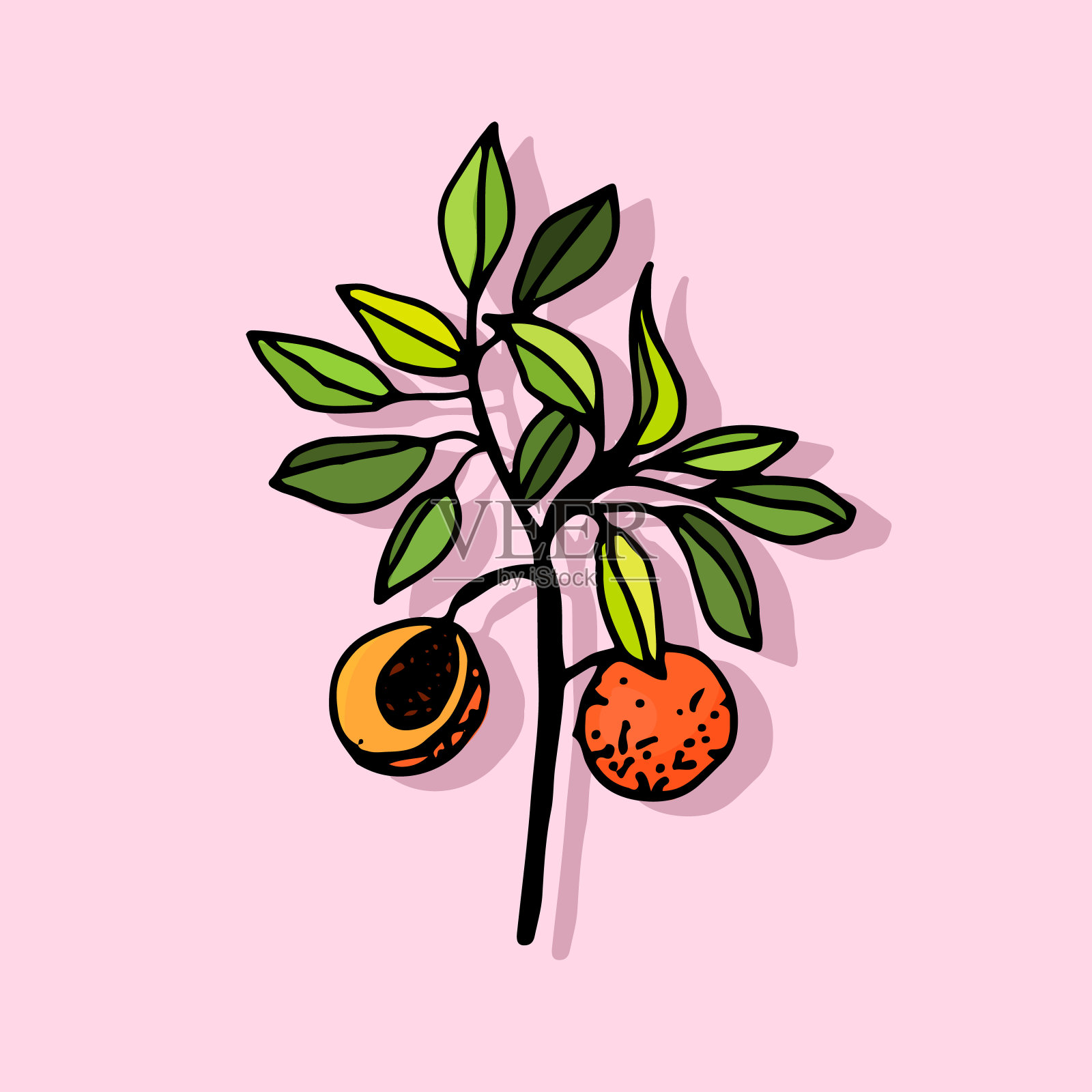 叶子图标矢量颜色的背景插画图片素材