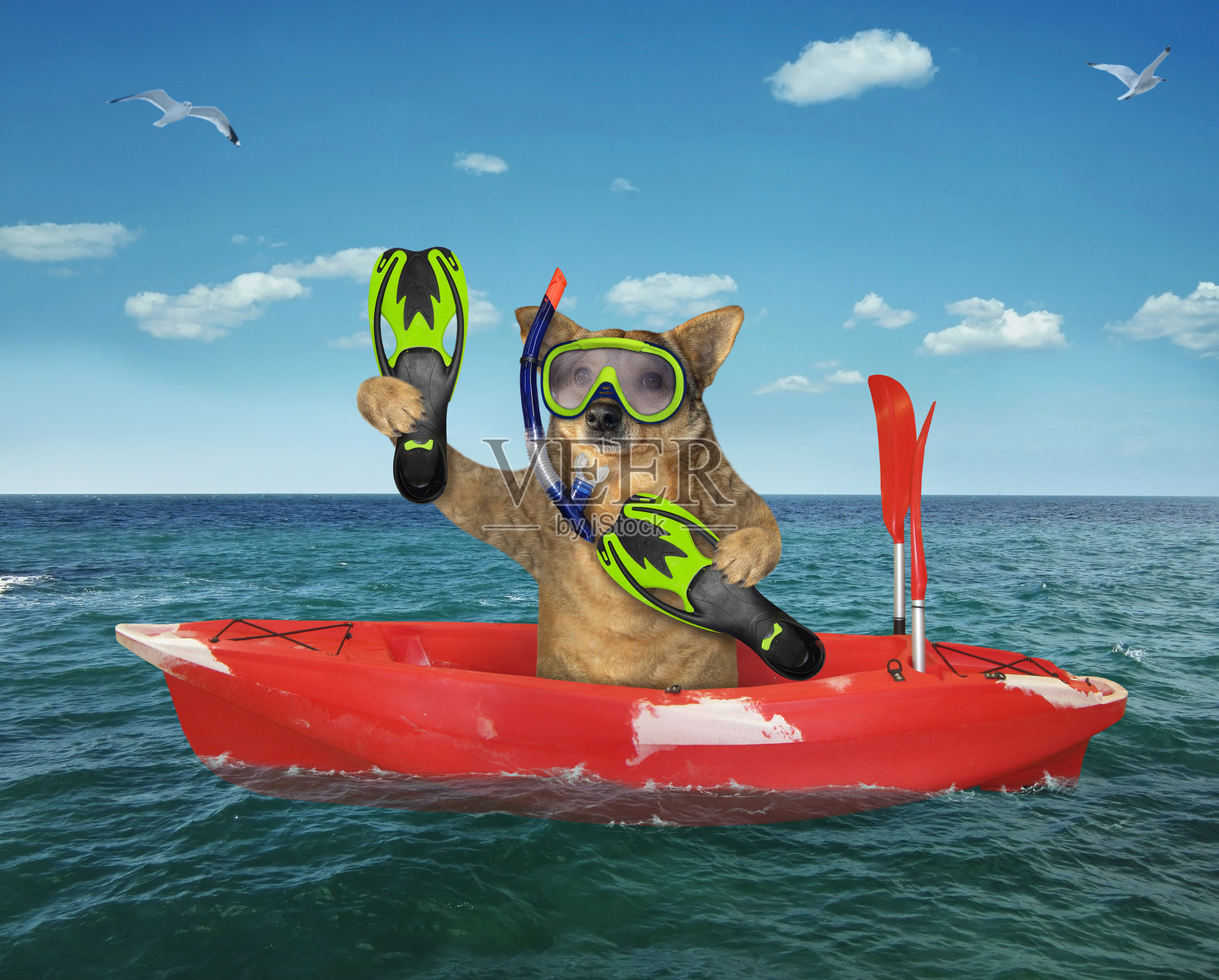 狗潜水员在一条红船上漂流照片摄影图片