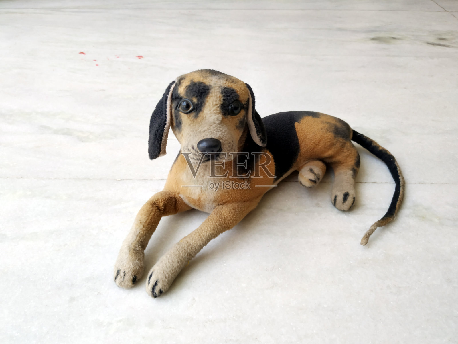 小狗玩具照片摄影图片