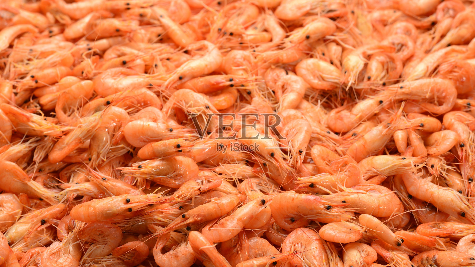 美味的鲜虾作为背景。照片摄影图片