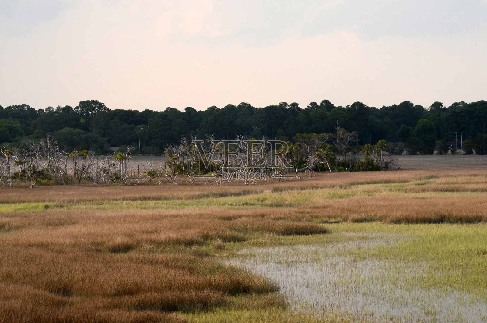 枯枝谷照片摄影图片