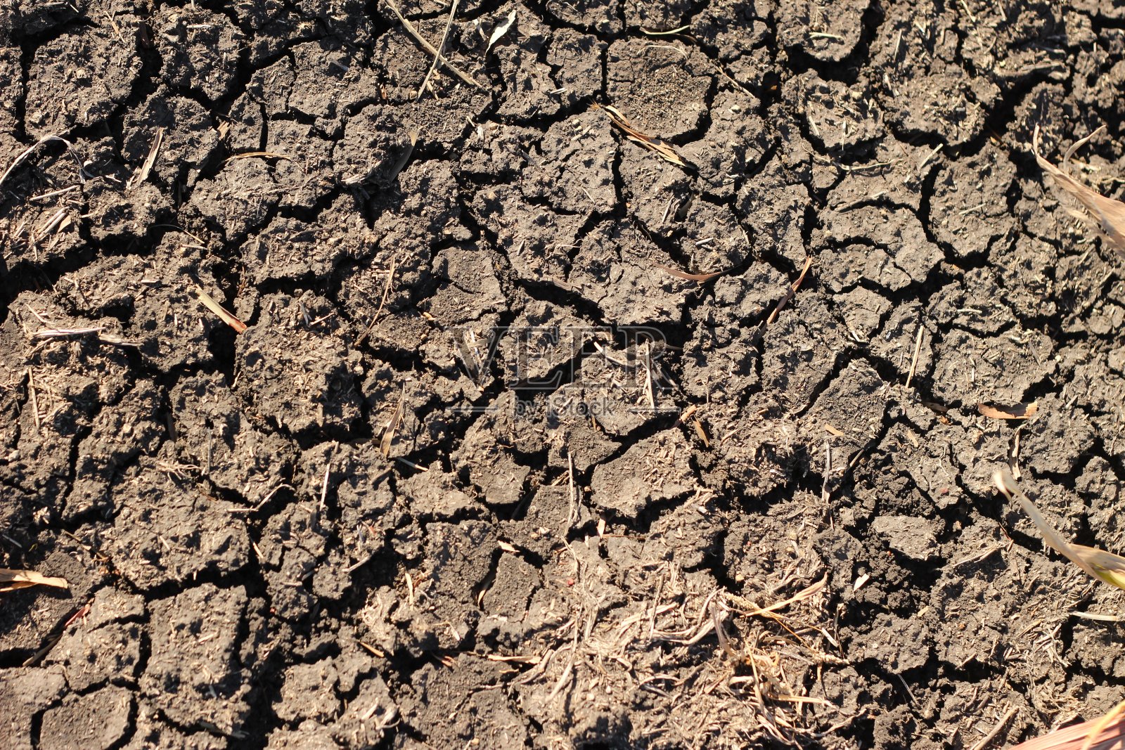 干旱中，澳大利亚新南威尔士州一个农场里黑色、干旱、干燥的土地照片摄影图片