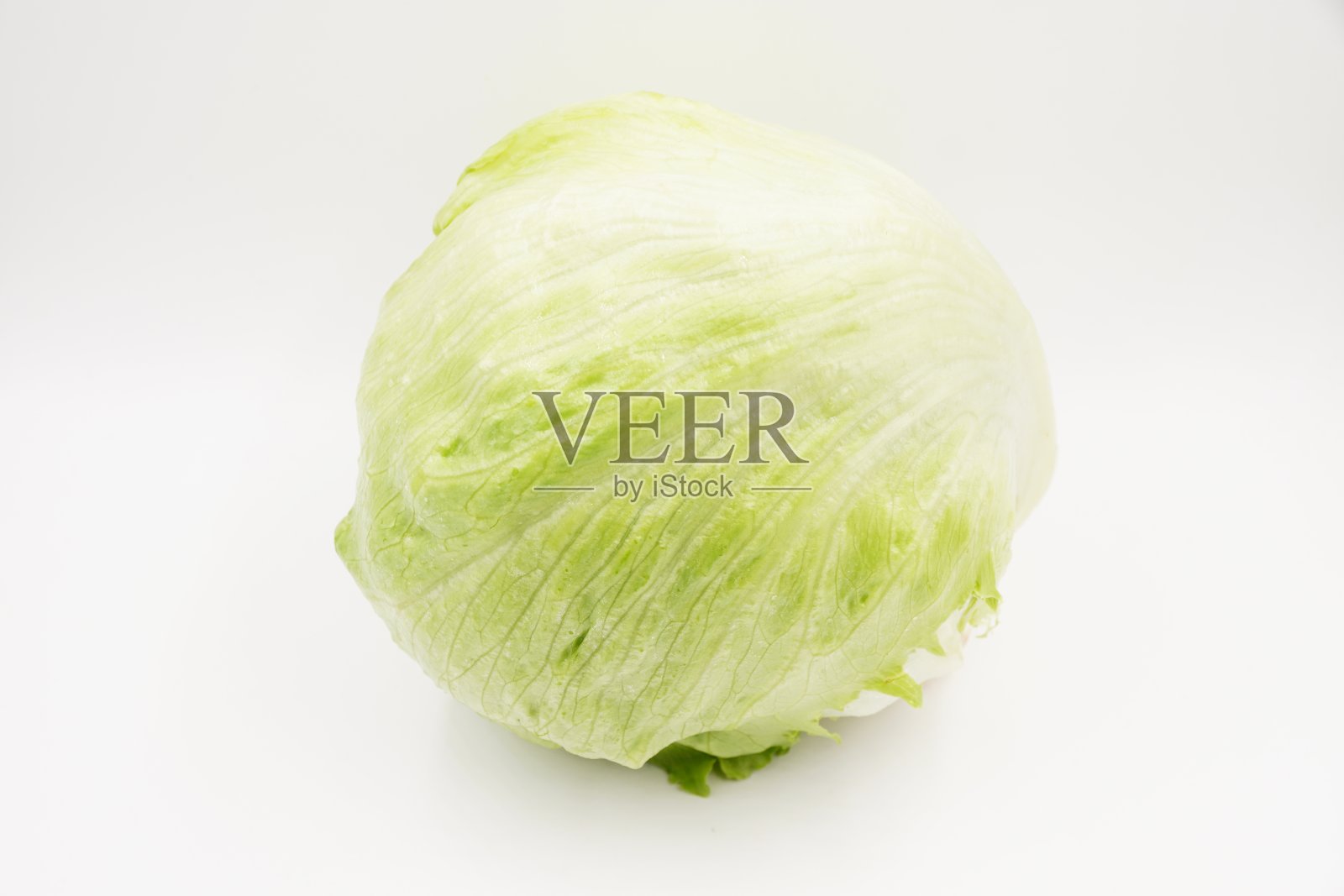 食用绿色卷心莴苣照片摄影图片