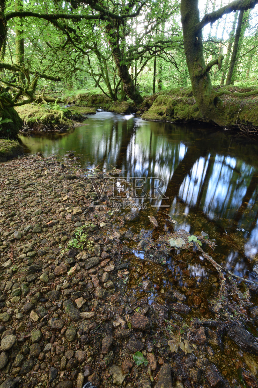 康沃尔博德明摩尔的福伊河照片摄影图片