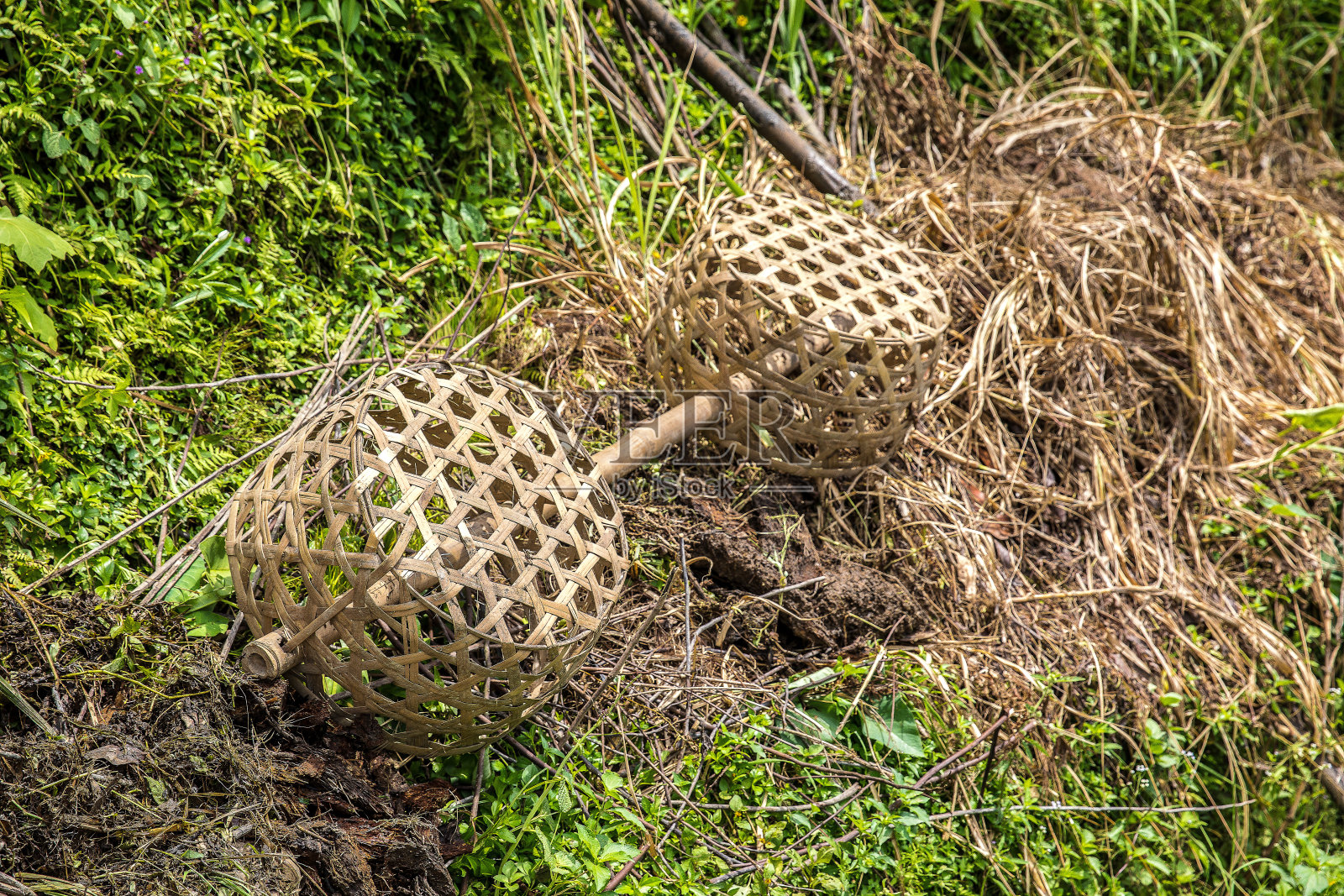乌布巴厘岛照片摄影图片