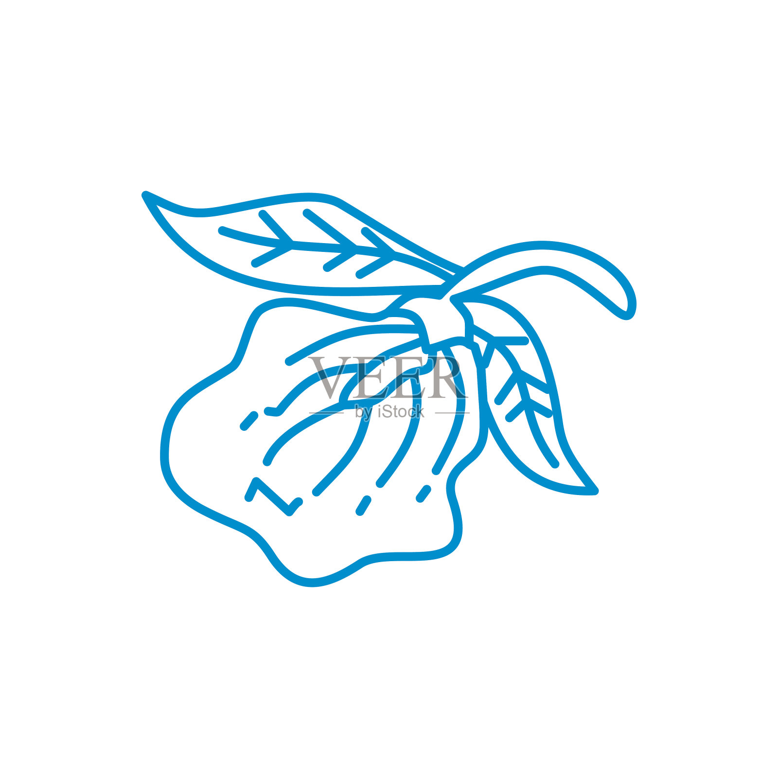 花瓣叶片设计模板向量线性设计元素图片