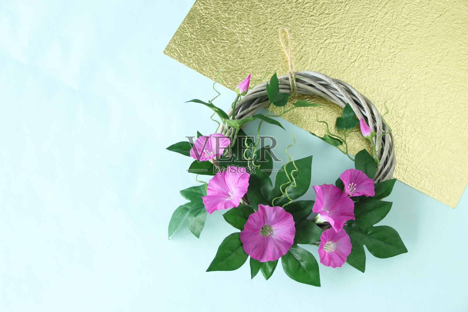 牵牛花花环照片摄影图片