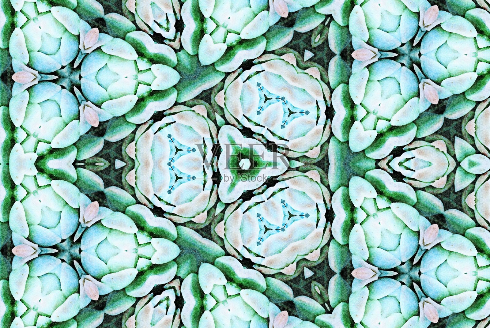 多汁曼陀罗水彩画风格照片摄影图片