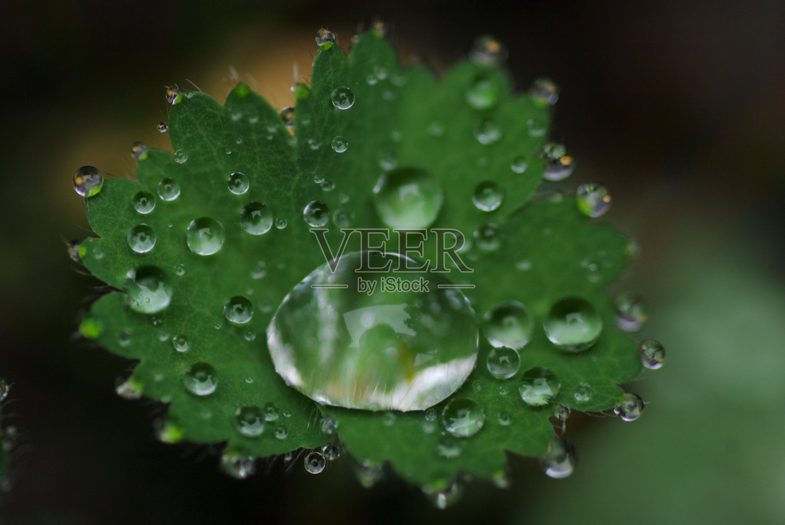 下降照片摄影图片