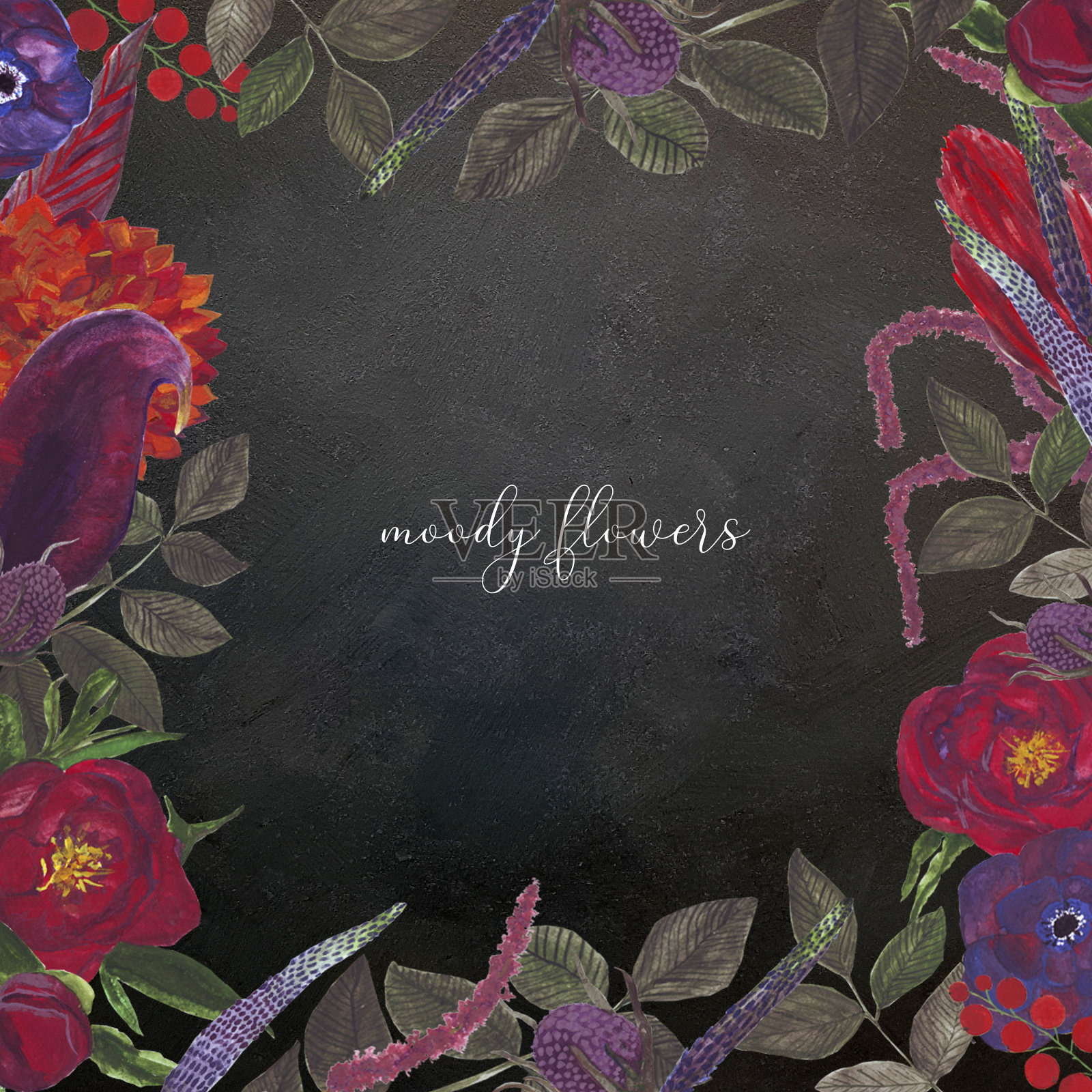 手绘水粉纹理的花，树叶和浆果风格的穆迪花在黑暗的墙壁背景插画图片素材