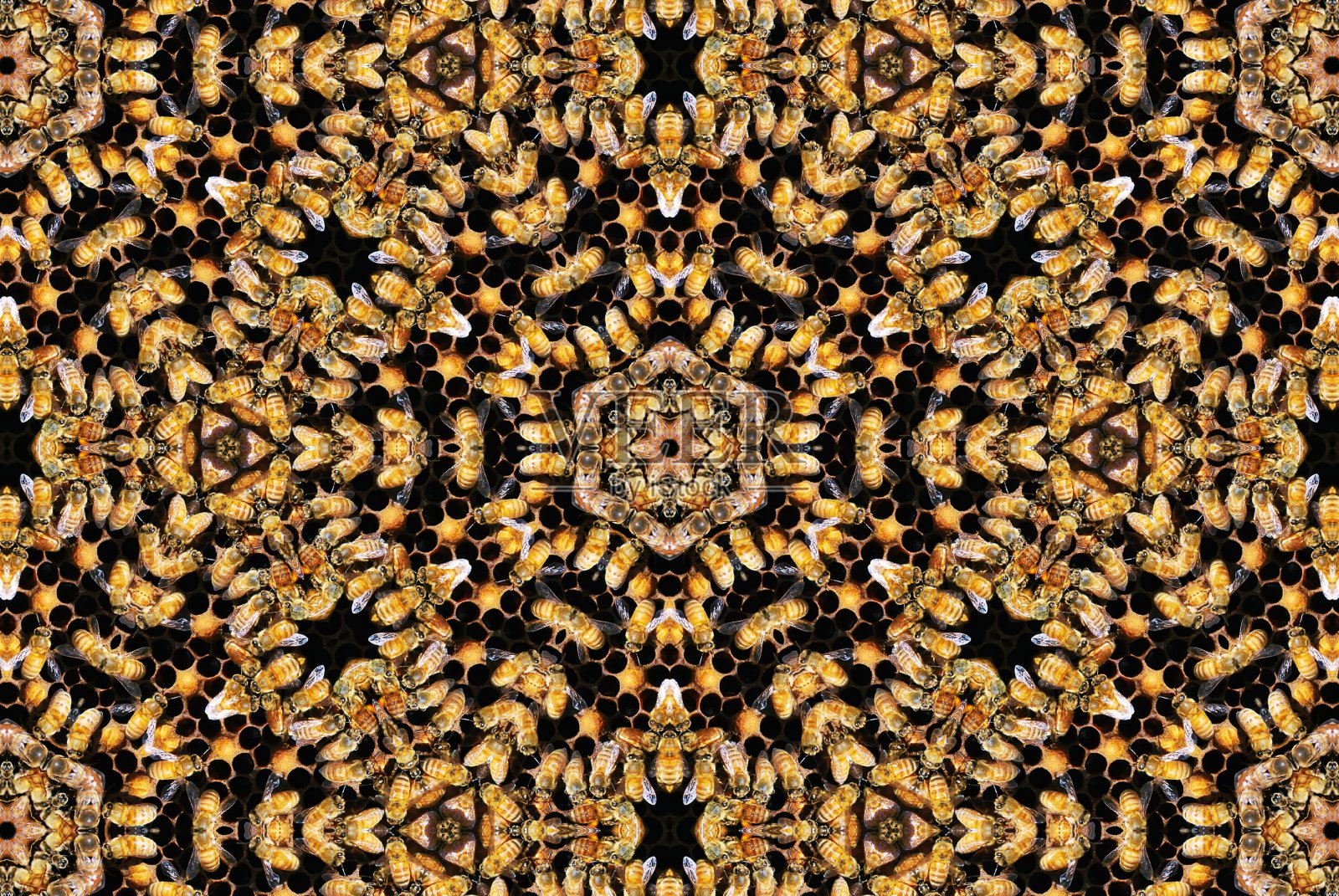 灵感来自蜜蜂和蜂箱的创意曼荼罗照片摄影图片