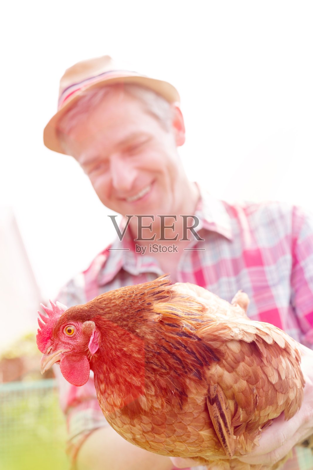 生态农场照片摄影图片