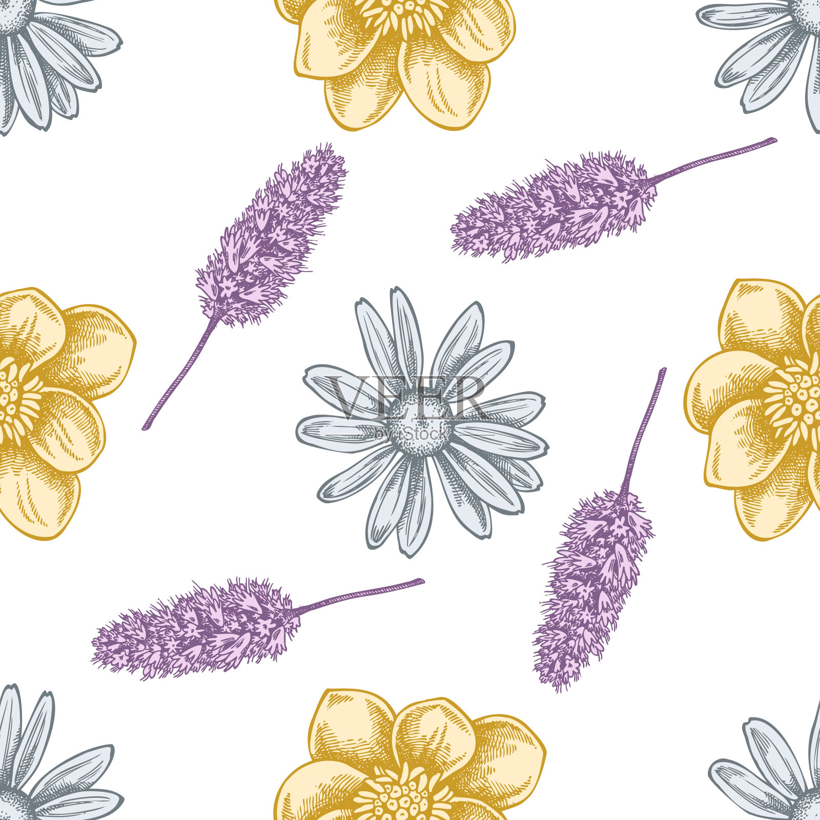 无缝图案手绘白屈菜，甘菊，薄荷插画图片素材