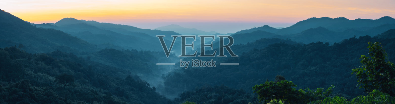 从美丽的热带森林景观与雾霾与软焦点层山背景的地球日和环保旅游概念的网页横幅和全景图照片摄影图片