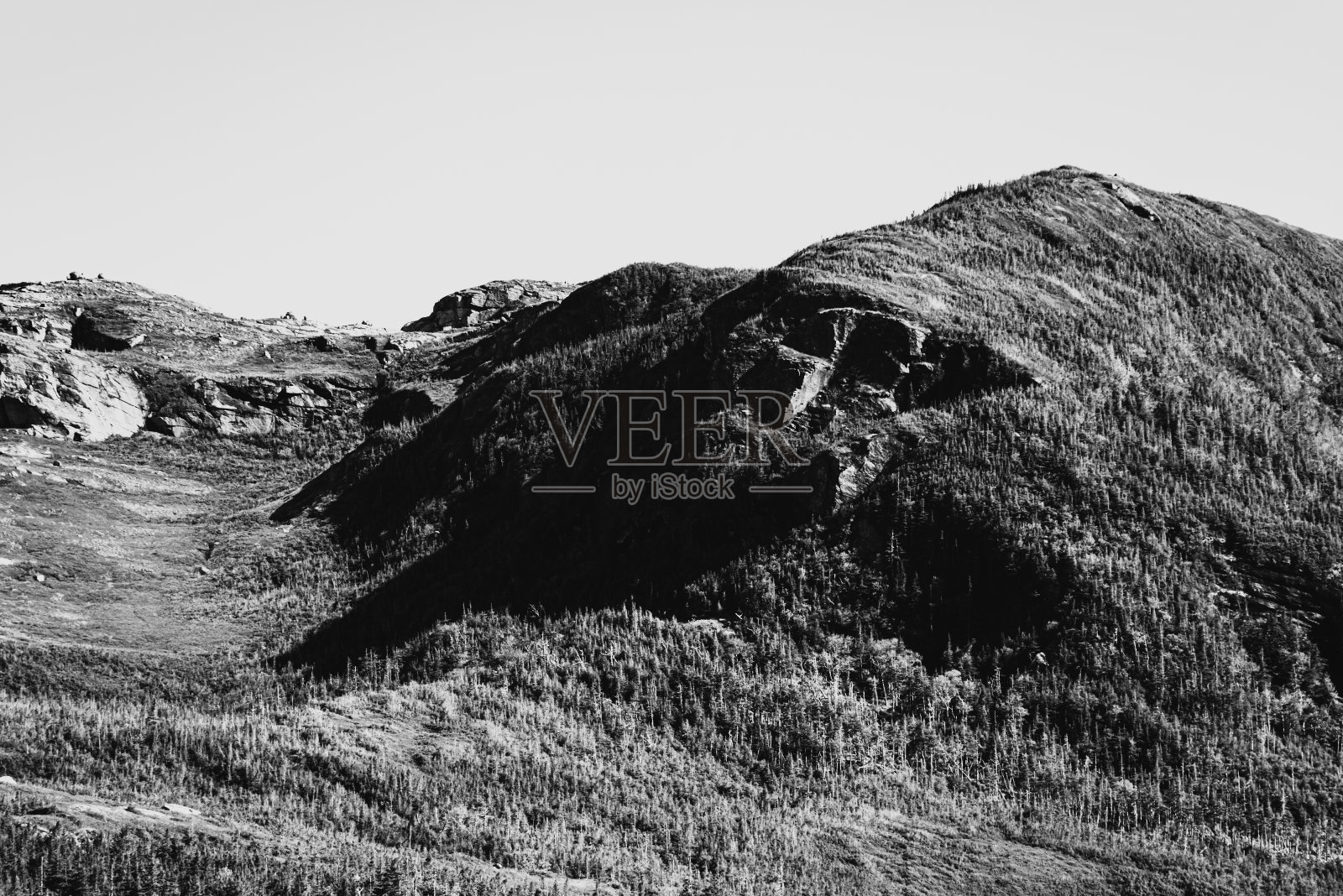 纽芬兰的荒野照片摄影图片